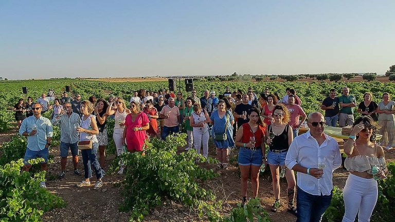 Triunfa el I Festival de Música Electrónica celebrado el fin de semana en Quintanar de la Orden Triunfa el I Festival de Música Electrónica celebrado el fin de semana en Quintanar de la Orden