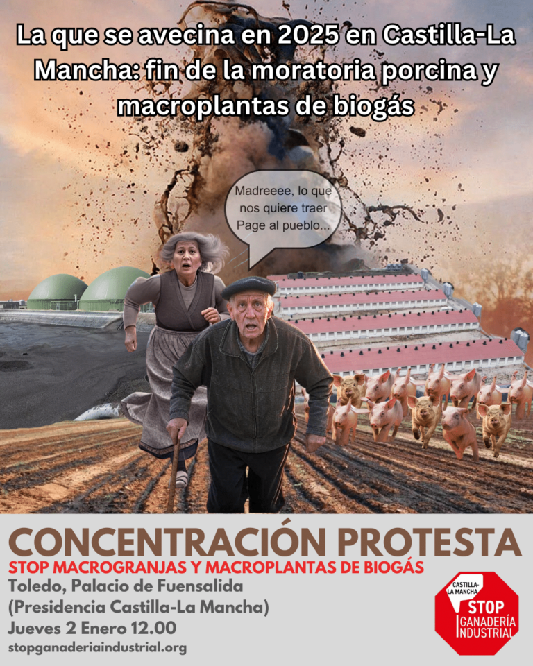 Los vecinos afectados por las macrogranjas protestarán en Toledo el 2 de enero